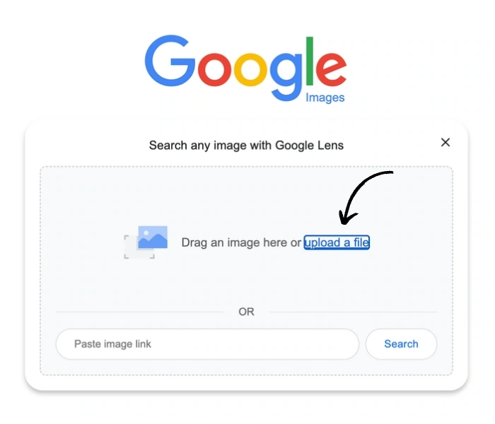 image search on google